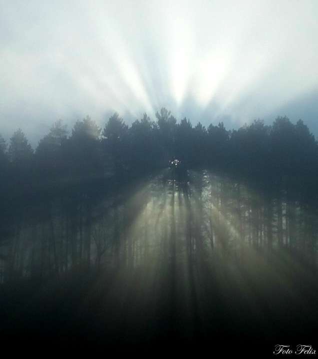 IMG_20171123_093436 b