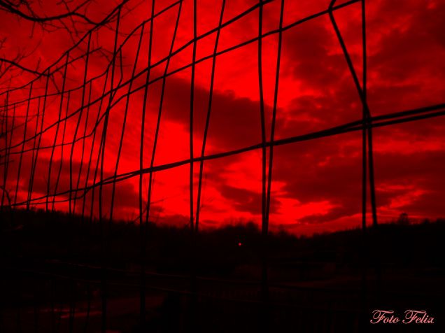 Crăciun însângerat