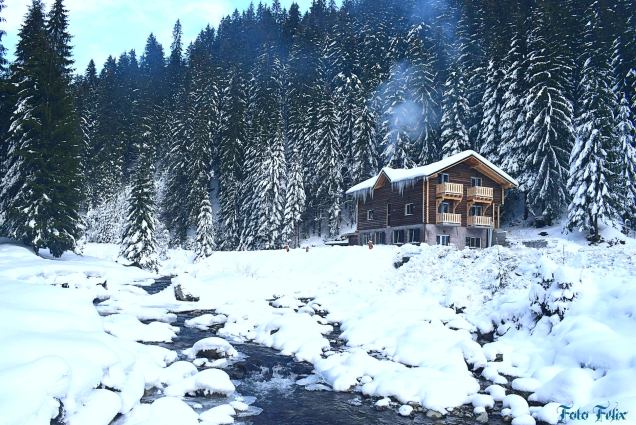 27024284_10203976747375732_7295533017877021233_o (1)