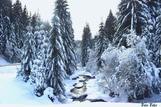 27368590_10203976750375807_2649024943864467806_o (1) (1)