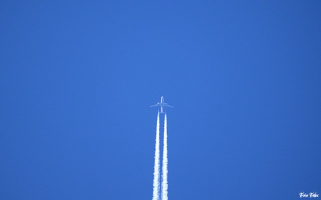 73009194_10206223209495881_2134572198919143424_o